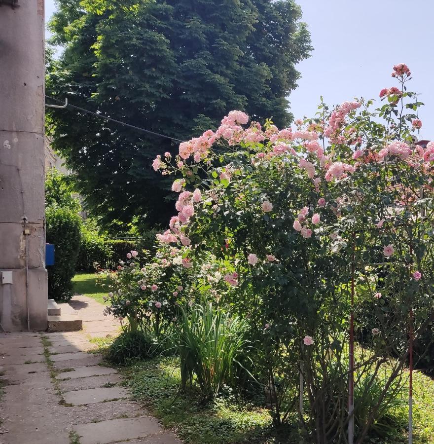 Petit Coco Apartment Zagreb Bagian luar foto